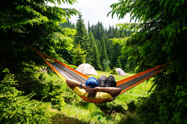 Observing the silence of the forest from a hammock.