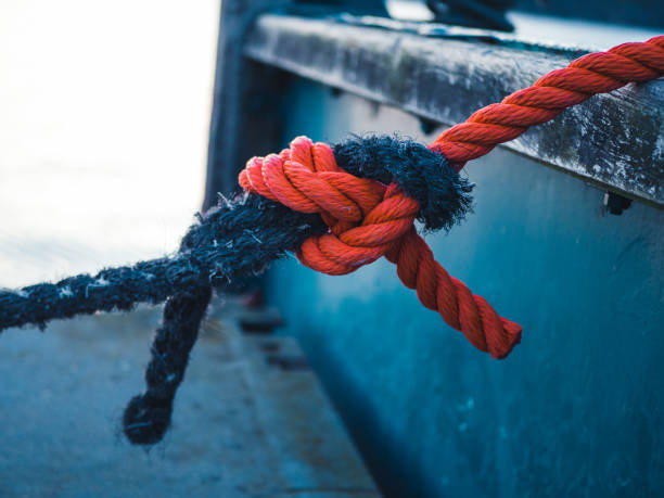 Hammock Advanced Suspension System: Your Key Connection
