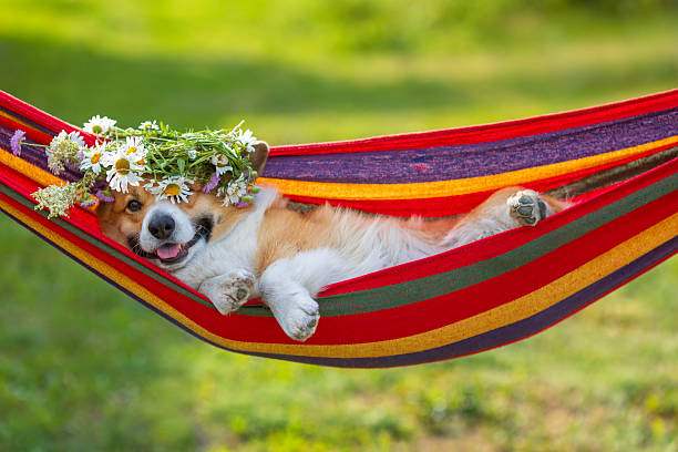 Enjoying a hammock in spring