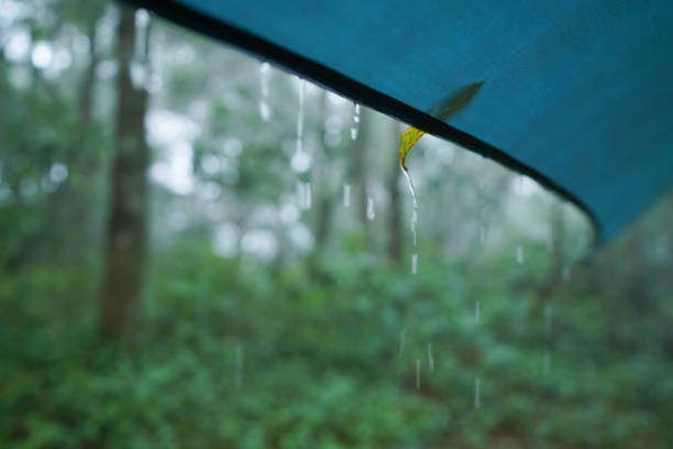 Adjust hammock selection according to the weather
