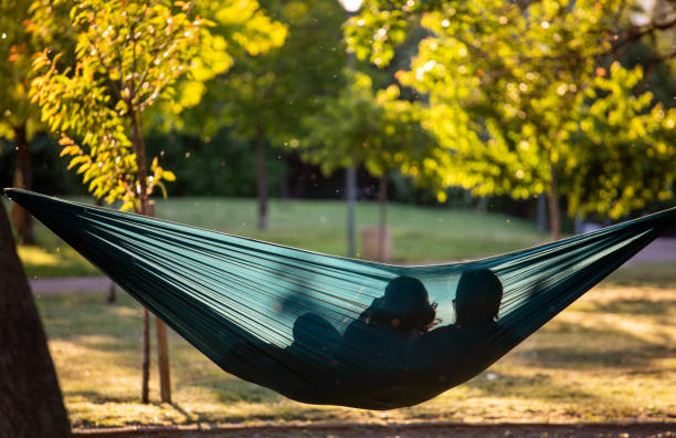 dark green outdoor hammock between autumn trees sun flare durable lifestyle