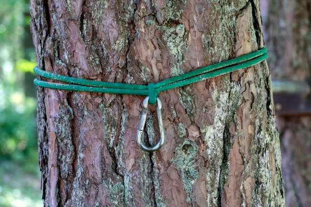 wide hammock tree straps comparison protecting tree bark close up