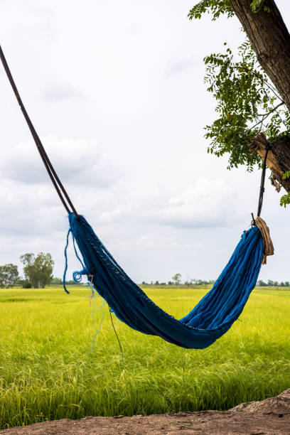 empty hammock hanging in nature showing catenary curve parabola shape