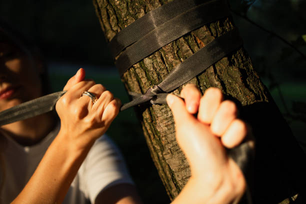 hammock tree protector straps close up festival environment friendly
