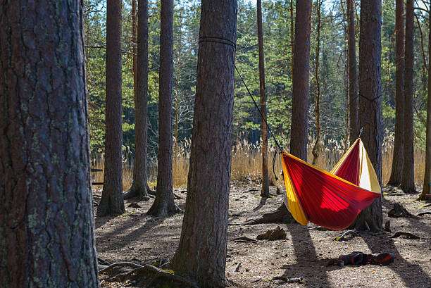 Red and yellow camping hammock strung between two trees in a sunny forest.