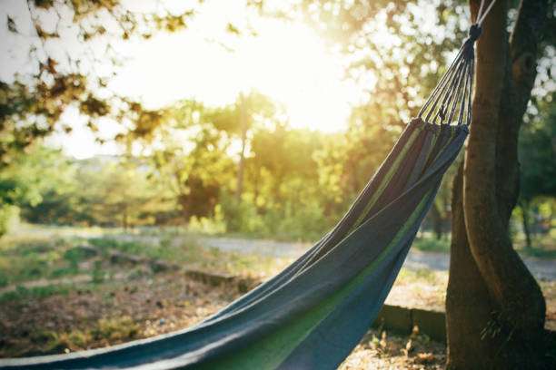 Blue hammock hanging from a tree in golden sunlight. Relaxing outdoor setting.