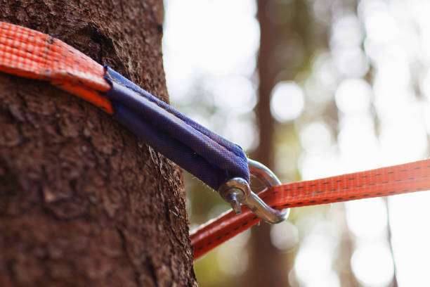 Close-up of blue strap and carabiner attaching orange hammock strap to a tree.