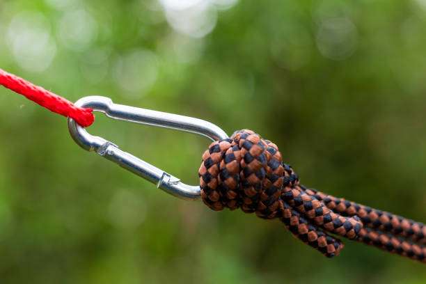 Close-up of carabiner connecting ropes, essential gear for setting up a hammock.