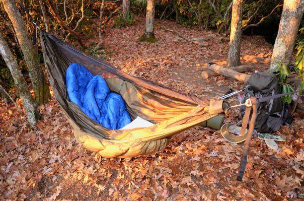 Camping hammock with blue sleeping bag and gear in a forest with autumn leaves.