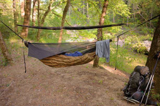 Modern camping hammock with mosquito netting in a wilderness campsite near a stream